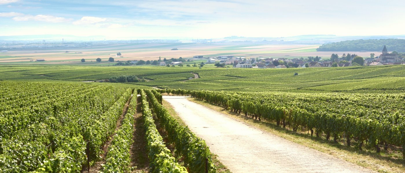 Champagne region - Wine Paths